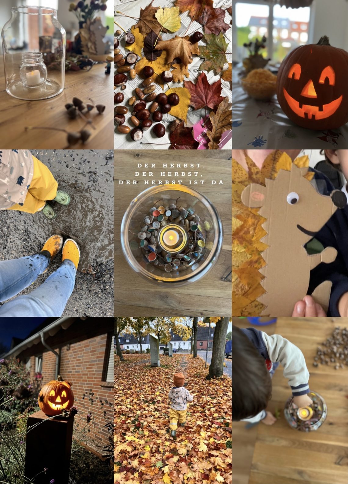 kottodan-basteln-nähen-häkeln-stricken-Der Herbst ist da-Igel-Laub-Kürbis-Pfützen-Stiefel-Deko