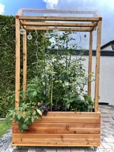 Kottodan.de-Tomatenbeet-mit-Dach-2025
